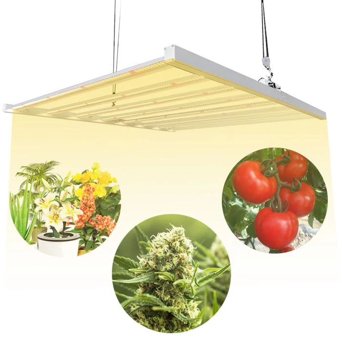 02-630W grow lights